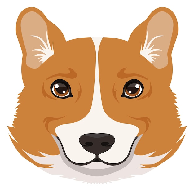 Illustration of a Pembroke Welsh Corgi’s face with tan and white fur, upright ears, and expressive brown eyes.