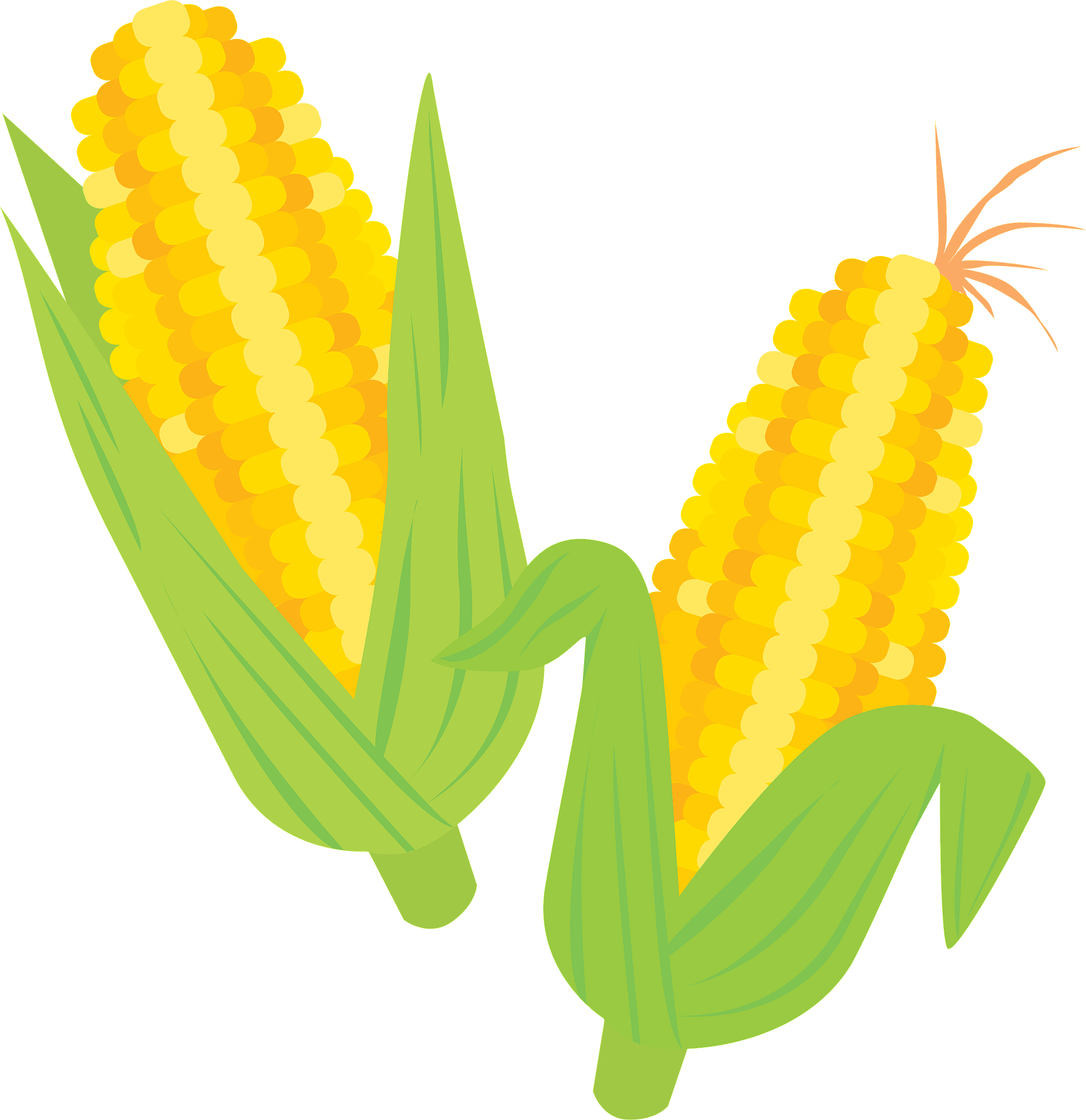 Maize Sweet Corn Ear Corn Soup Cereal PNG, Clipart, Agriculture - Clip ...