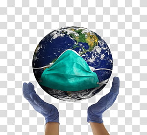 Hands in blue gloves holding a globe wearing a teal surgical mask.