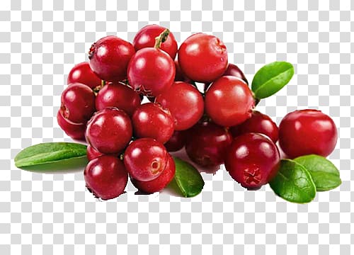Fresh red cranberries with green leaves on transparent background
