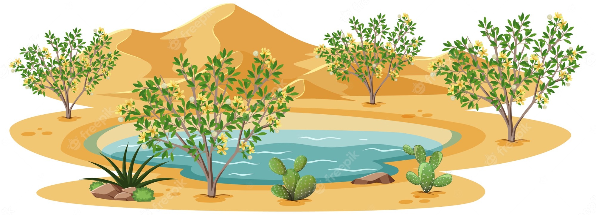 Desert oasis with blooming trees, cacti, and a clear water pool surrounded by golden sand dunes.