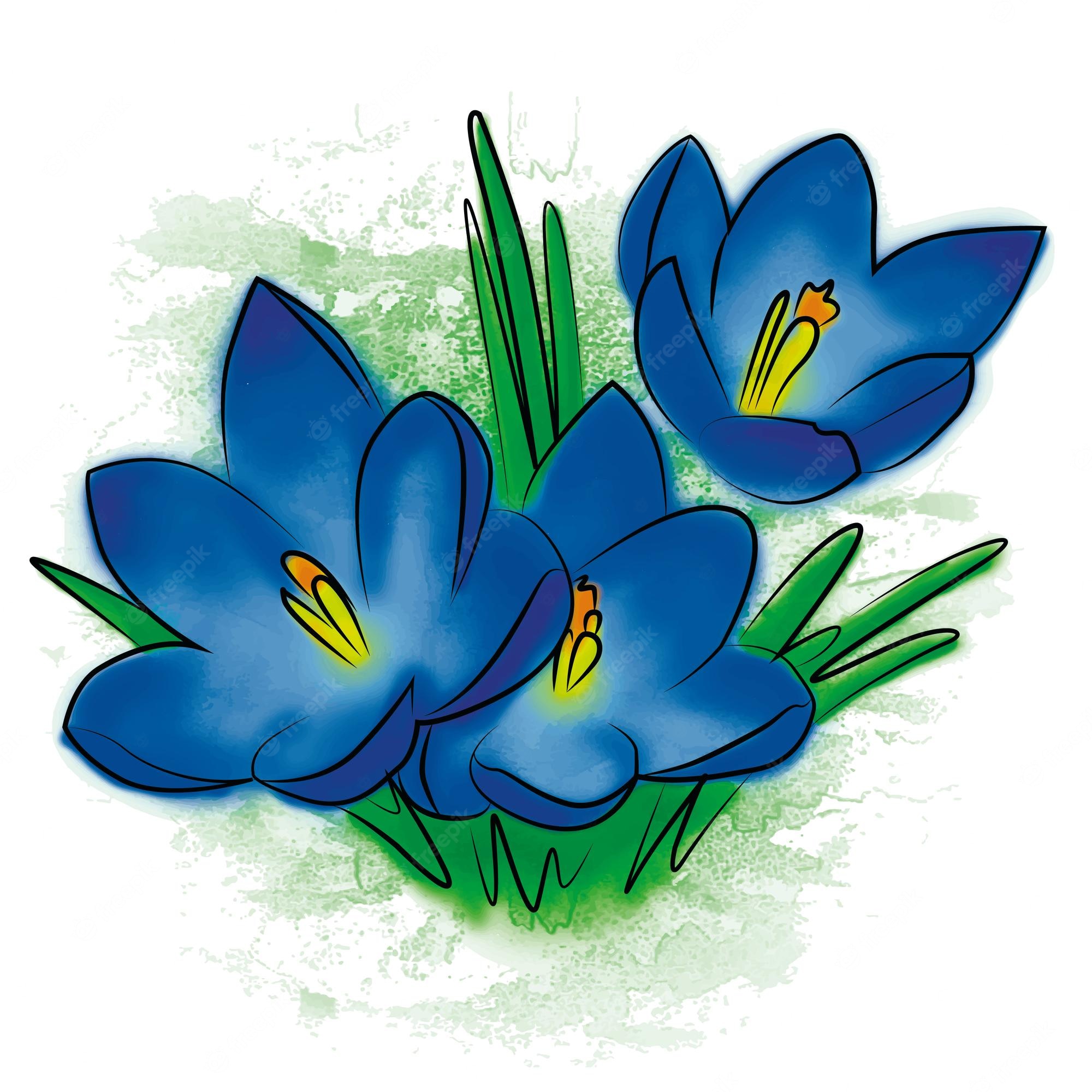 Crocus Flower PNG, Clipart, Clip Art, Computer Icons, Crocus - Clip Art ...