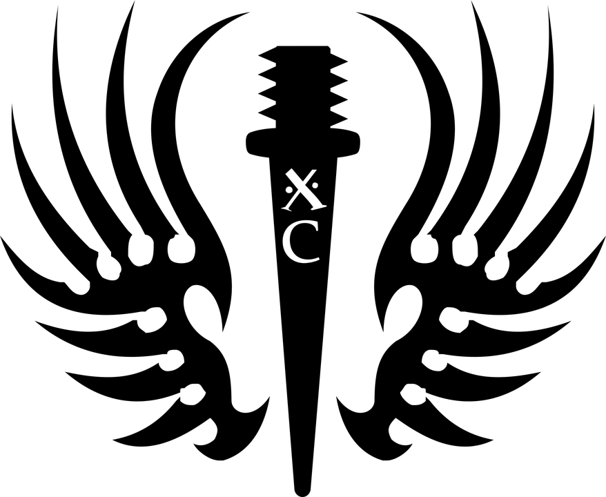 A blank black image with no visible content or detail.