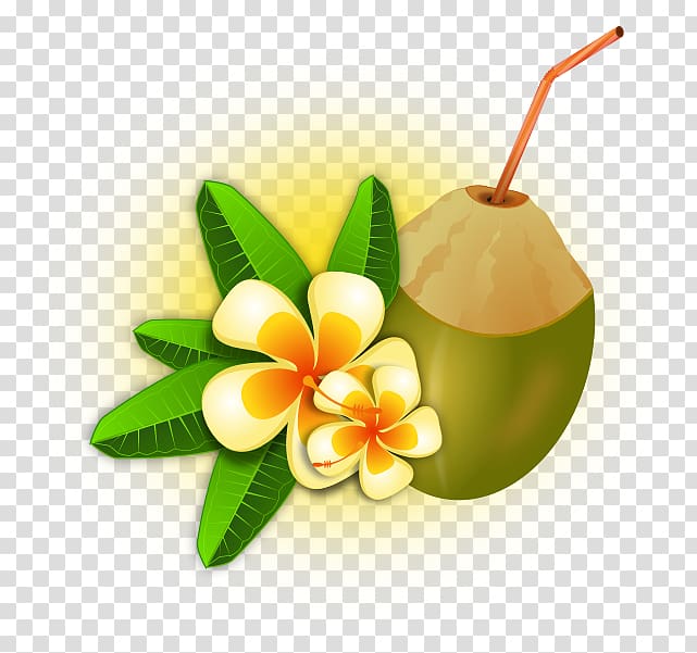 Fresh coconut drink with straw, plumeria flowers, and green leaves on transparent background.