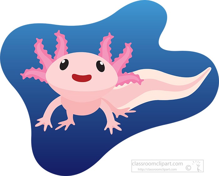 A cheerful pink axolotl with feathery gills swimming in blue water, cartoon-style illustration.