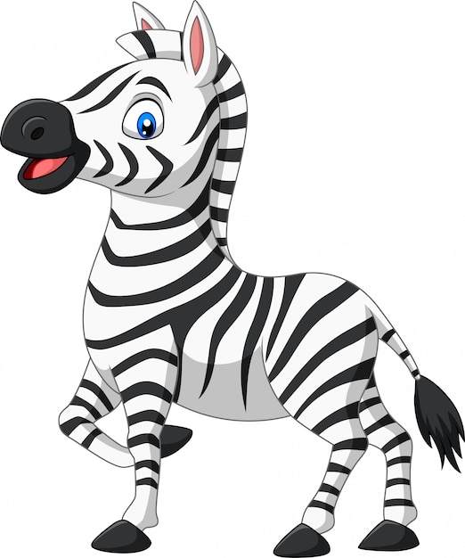 Clip Art Zebra Image Free Content, PNG, 711x800px, Zebra, Animal - Clip ...