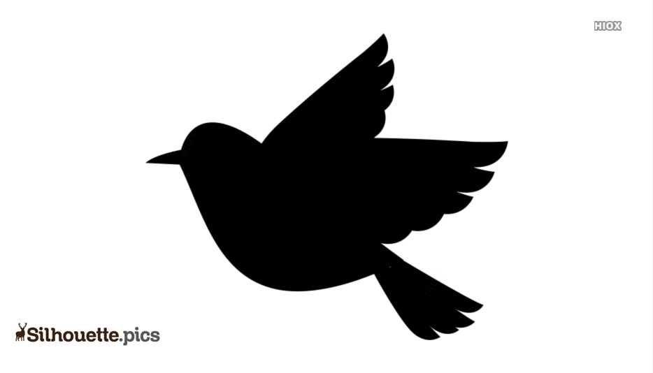Black silhouette of a bird in flight with outstretched wings and tail feathers, viewed from the side against a white background.