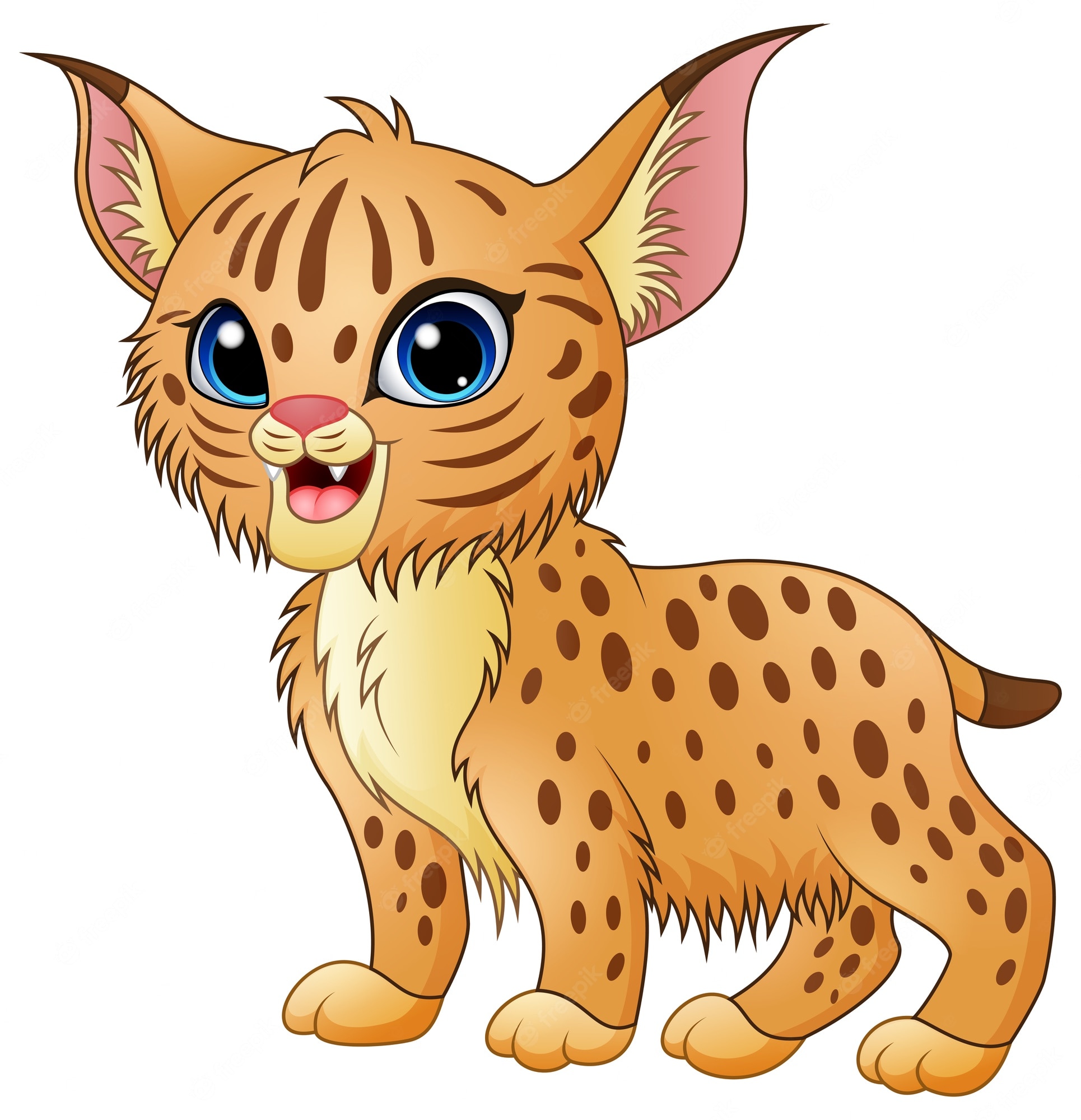 Lynx Bobcat Stock Illustrations – 1,944 Lynx Bobcat Stock - Clip Art ...