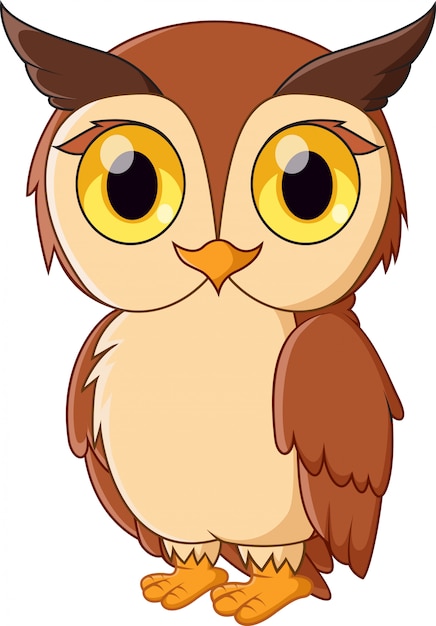 Cute cartoon brown owl with large yellow eyes and orange beak standing upright.