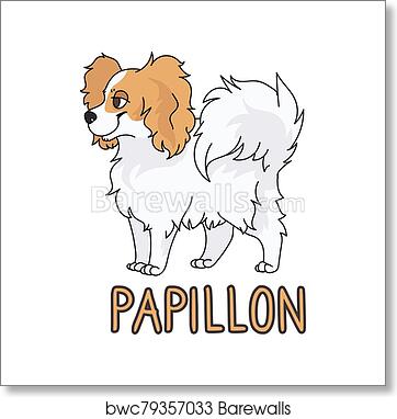 Papillon Dog Breed - Elegant, Intelligent & Lively Companion