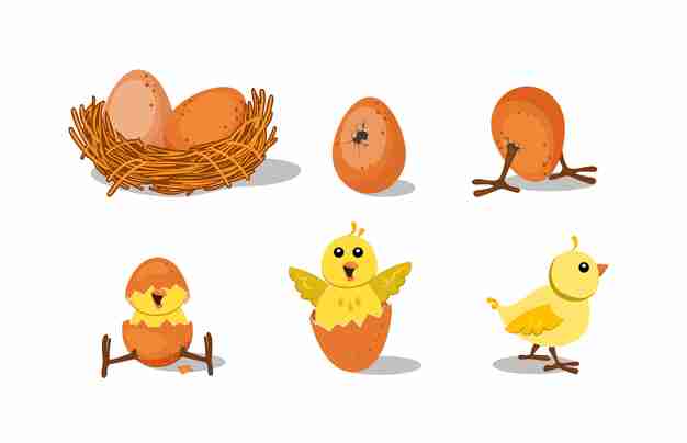 Cartoon illustration of chicken eggs hatching into chicks in various stages, from nest to fully hatched.