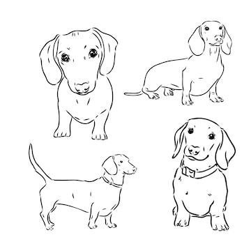 Dachshund Dog Breed Illustrations - Free Line Art Collection