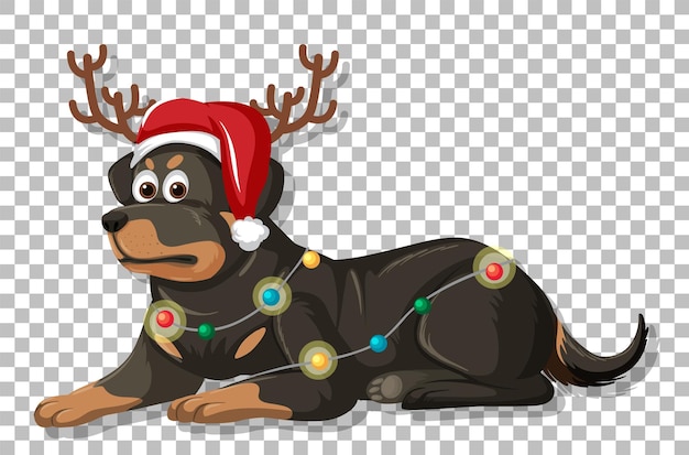 Festive Rottweiler wearing Santa hat, reindeer antlers, and Christmas lights, lying on transparent background.