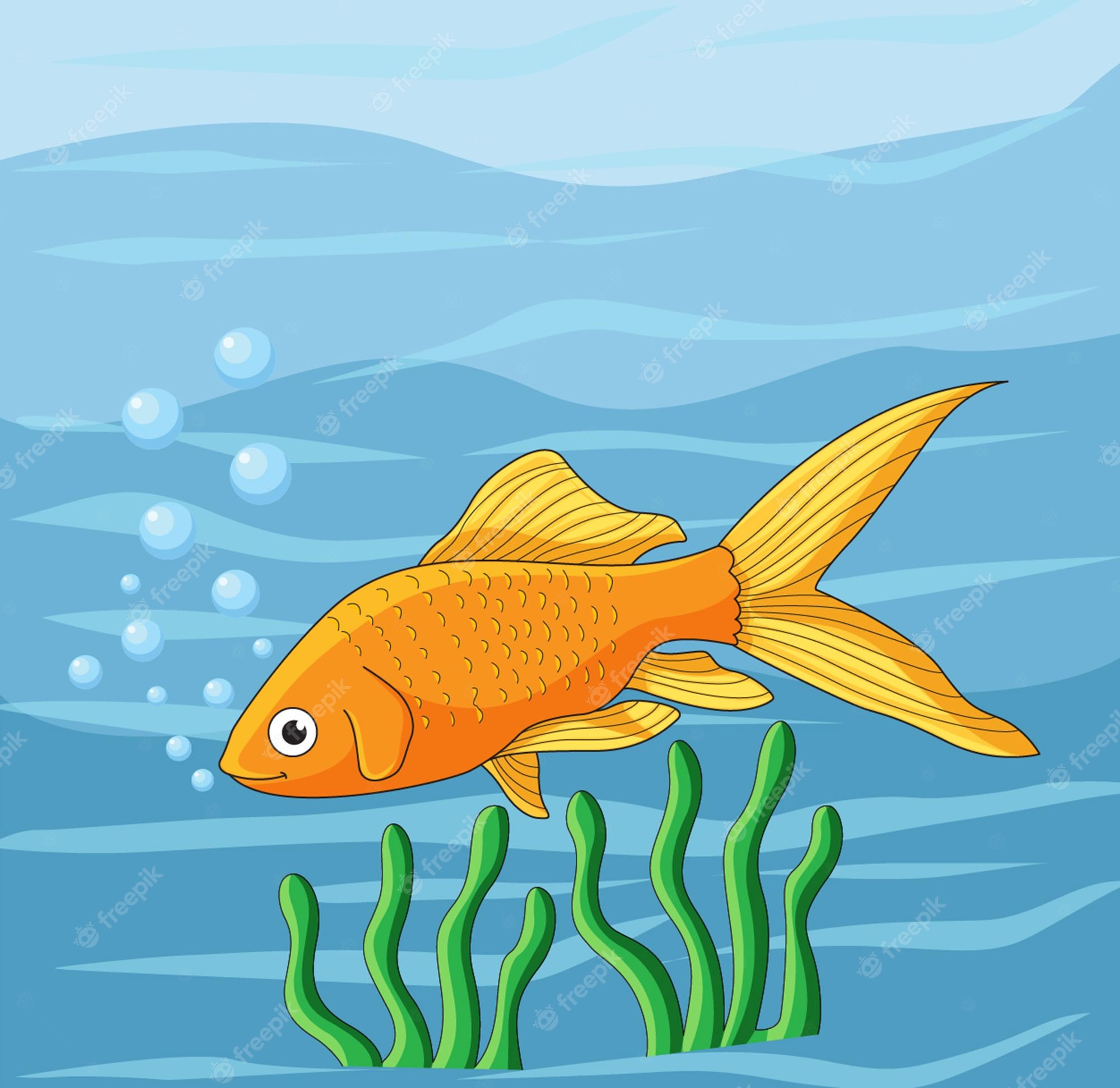 Fish Swimming Clipart Transparent PNG Clipart Images Free Clip Art 