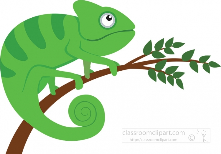 Free reptiless, Download Free reptiless png images, Free ClipArts on