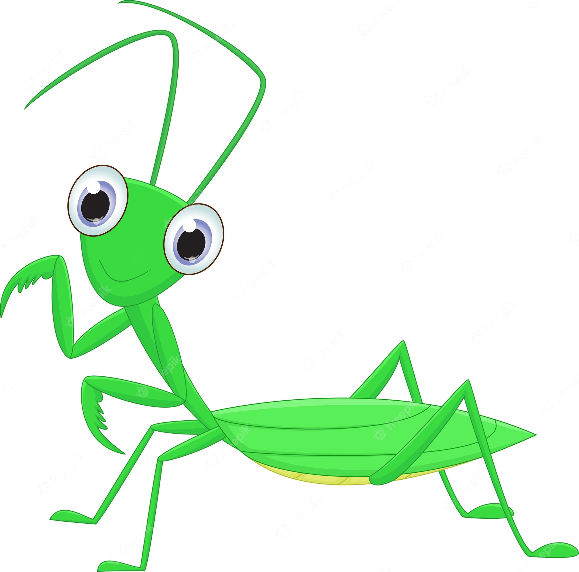 Praying mantis cartoon Royalty Free Vector Image - Clip Art Library