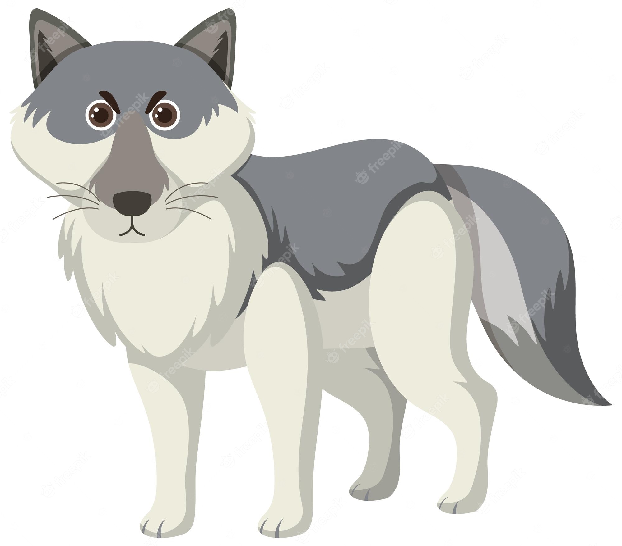 Wolves Fan Art: Anime | Anime wolf, Wolf artwork, Cartoon wolf - Clip ...