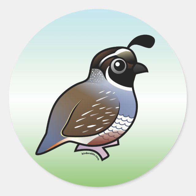 California Quail Illustration - Cute Bird Art for Nature Lovers