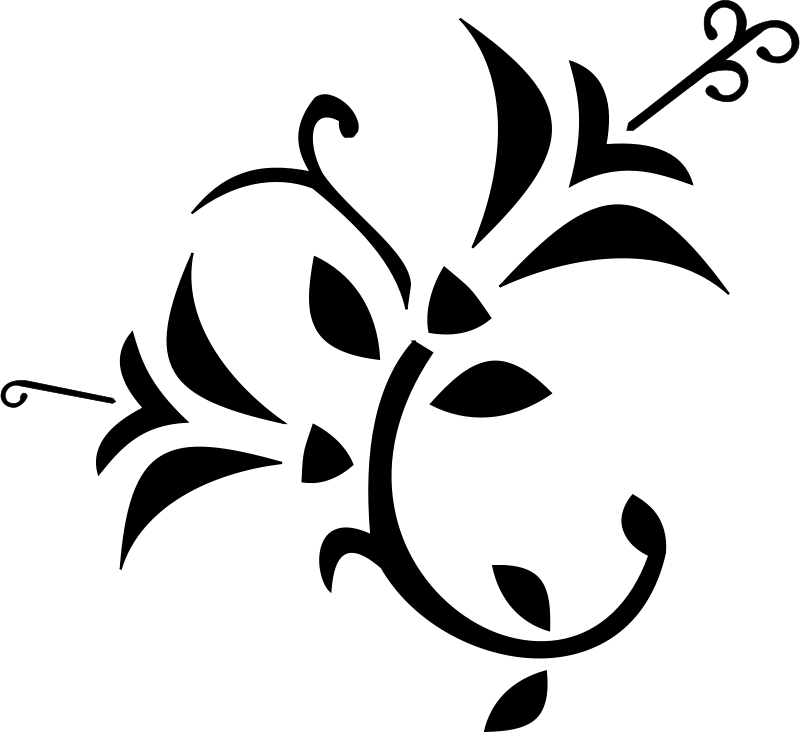 A blank black image with no visible content or detail.
