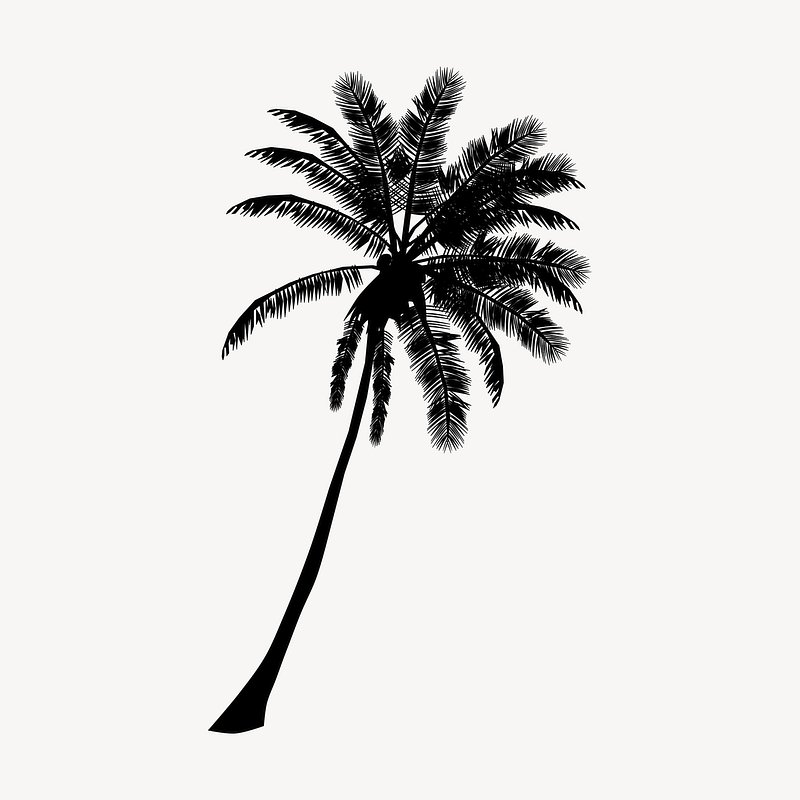 palm tree - Clip Art Library