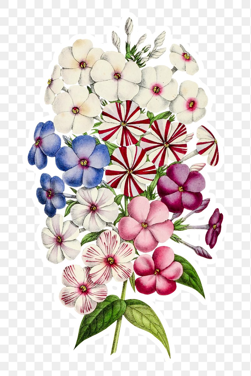 Free Petunia Flower Cliparts, Download Free Petunia Flower - Clip Art ...