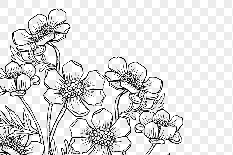 Floral black and white flower border clipart free image - Clipart ...