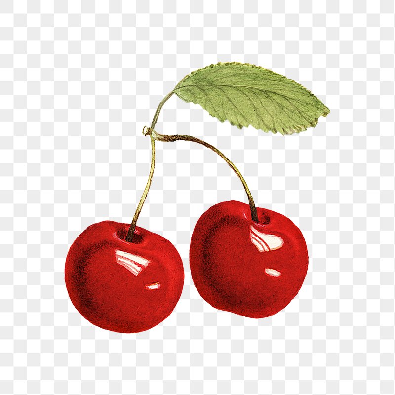 Vibrant Red Cherries Illustration - Botanical Food Art