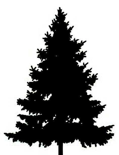 Black silhouette of a classic evergreen pine tree against a white background, stylized with layered branches and a tapered crown.