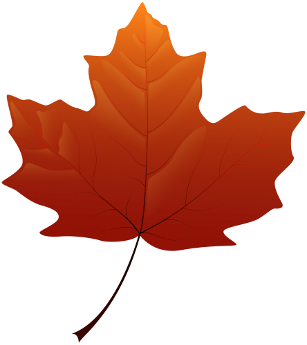 Autumn Maple Leaf Illustration - Free PNG Download