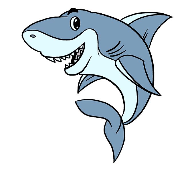 Free Shark Cartoon Images, Download Free Shark Cartoon Images png ...