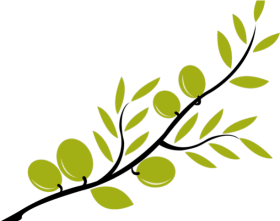 Stylized olive branch with green olives and leaves on a white background.