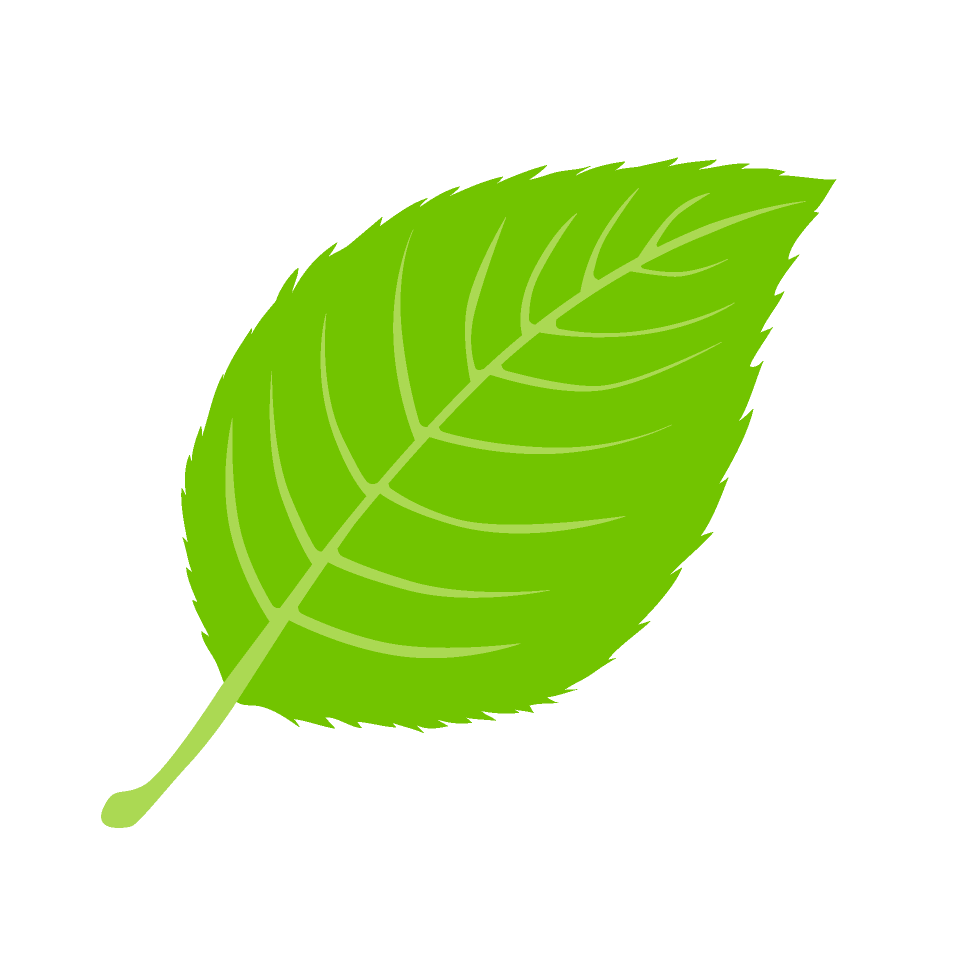 Green Leaf Illustration - Nature, Ecology & Sustainability Icon