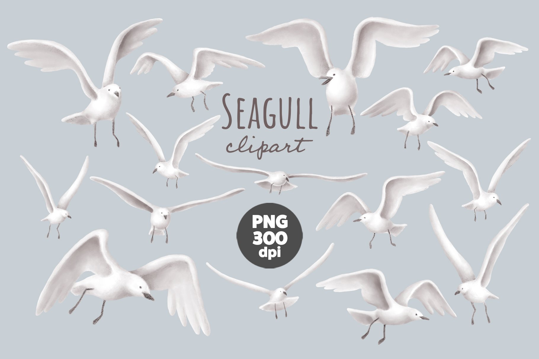 Hand-painted seagull clipart set in flight poses, white birds with gray shading, PNG 300 dpi on light gray background.