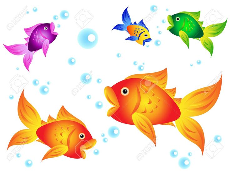 Colorful Cartoon Fish Illustration for Kids, Education & Decor