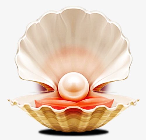 Open seashell revealing a lustrous pearl nestled on vibrant orange tissue.