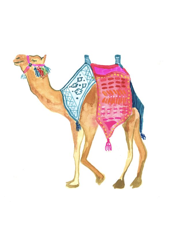 Watercolor illustration of a decorated camel with colorful saddle blankets and tassels, walking left on white background.