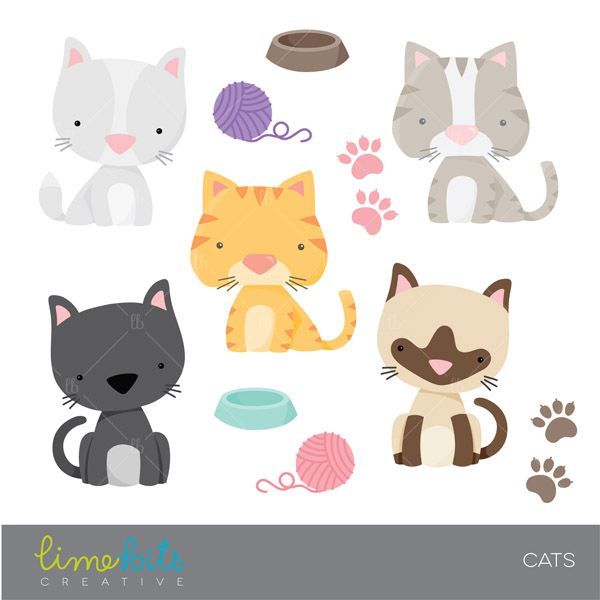 Cute cartoon cats in various colors with yarn balls, paw prints, and food bowls.