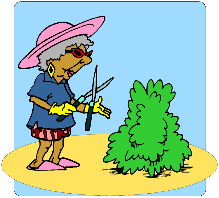 Elderly woman in pink hat and sunglasses trimming a green bush with garden shears.