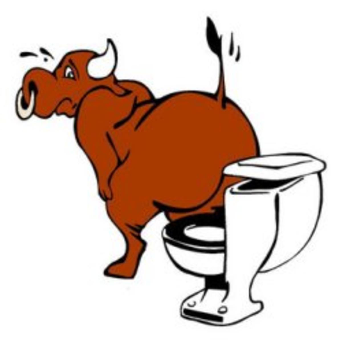 Funny Bull on Toilet Cartoon - Humorous Bathroom Illustration