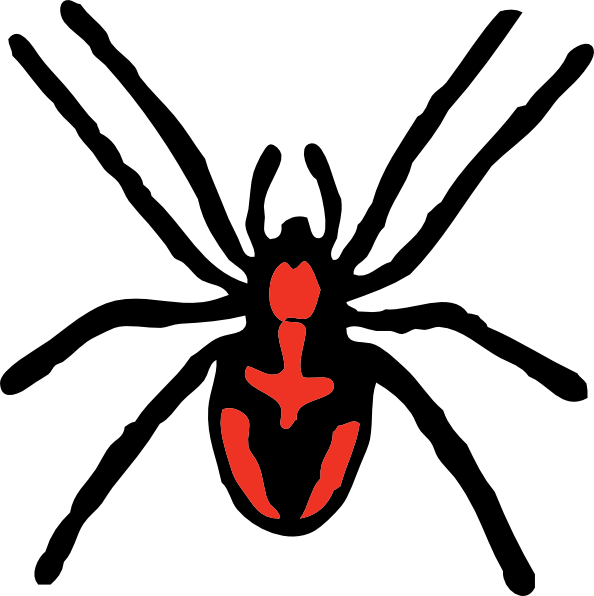 Black spider illustration with distinctive red hourglass and abdominal markings, stylized for warning or educational use.