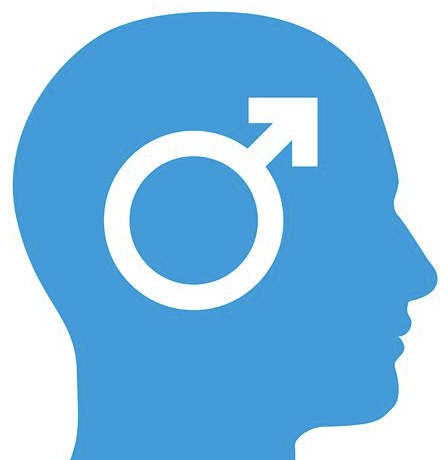 Blue silhouette of a male head in profile with a white Mars symbol inside, representing masculinity or male identity.