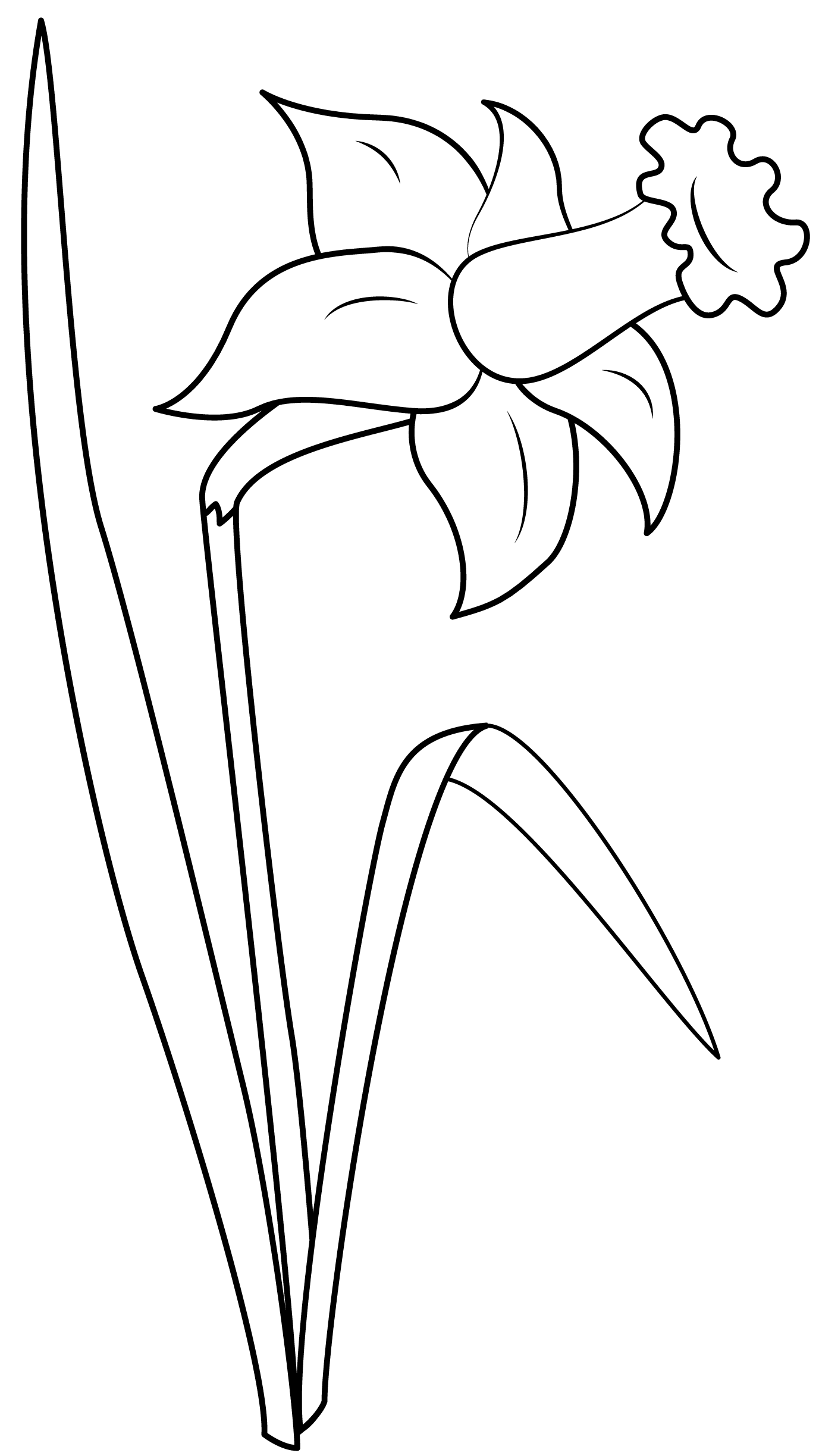 printable daffodils - Clip Art Library