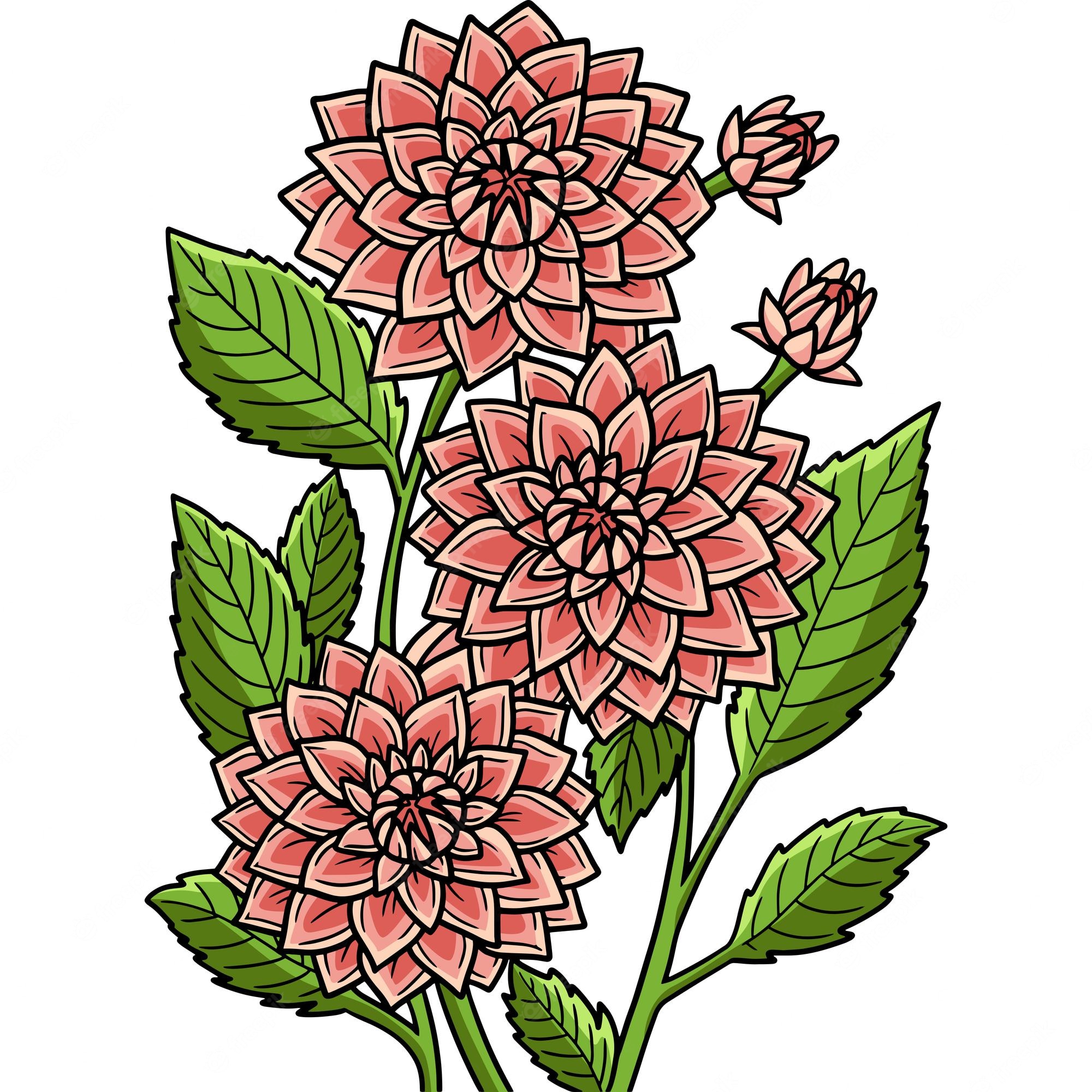 pink-dahlia-flower-clipart-free-download-transparent-png-clipart