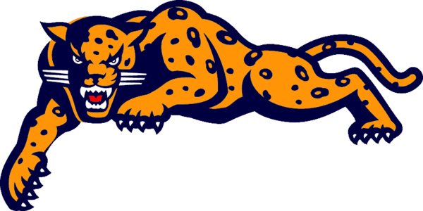 Panthers Mascot Logo - Official Team Symbol & Brand Identity