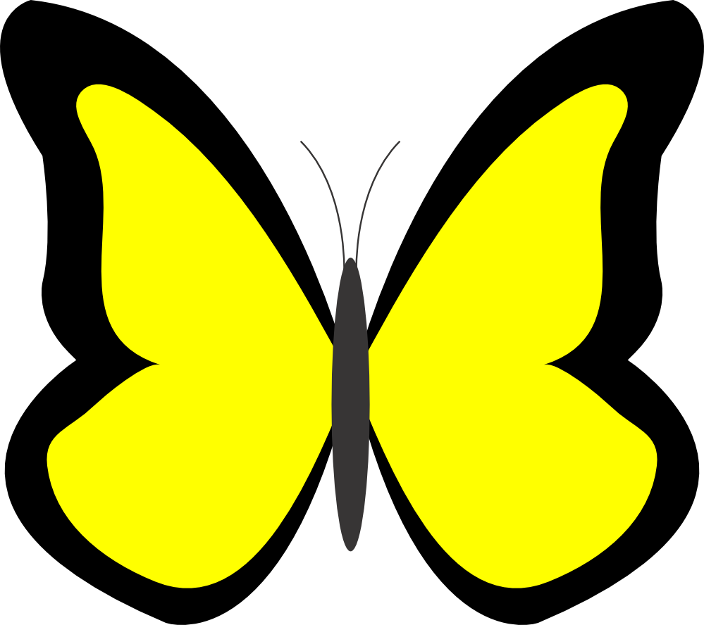 Bright yellow butterfly with black outline and gray body, stylized vector illustration.
