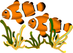 Clownfish Illustration - Vibrant Ocean Life Clipart
