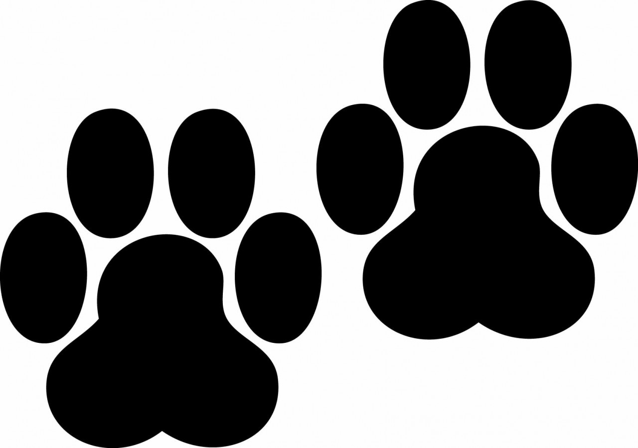 Black silhouette of two animal paw prints on white background, likely canine or feline.