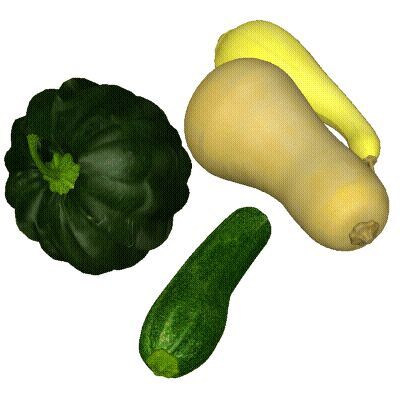 Dark green acorn squash, beige butternut squash, yellow summer squash, and green zucchini arranged on white background.