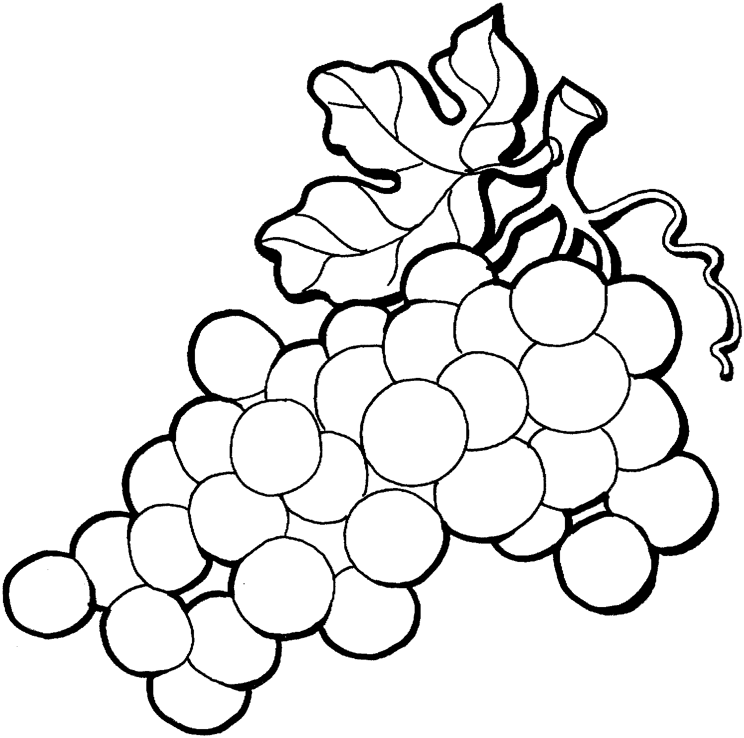 Black-and-white line drawing of a grape cluster with leaves and tendrils, ideal for coloring or educational use.