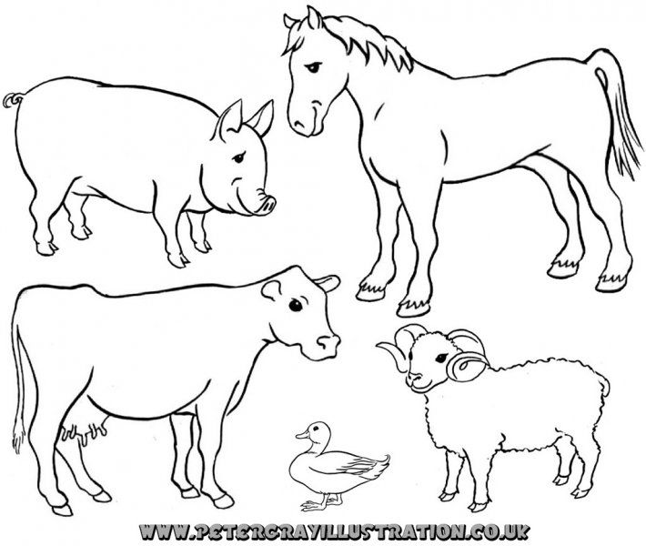 Line drawing of five farm animals: pig, horse, cow, duck, and sheep, suitable for coloring pages.